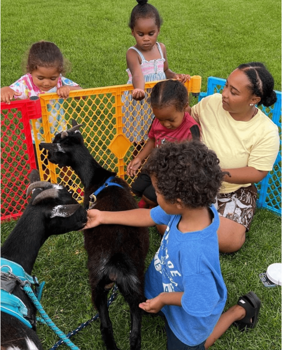 Celeste Syas brings her goats to Shinnecock Preschool children.